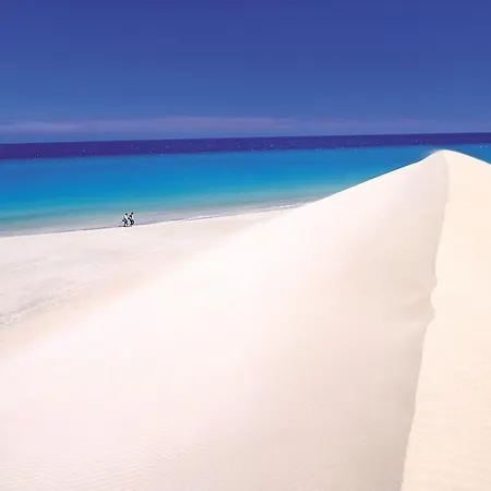 Aqua * La Oliva